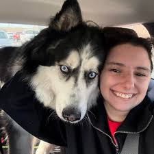 How to find the DMC color for diamond painting?