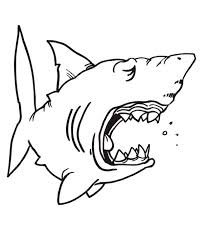 These shark coloring pages are ideal for kids who love those amazing sea creatures. Sharks For Children Sharks Kids Coloring Pages