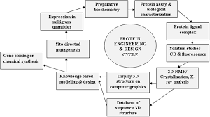 Chemical modification of proteins is a rapidly expanding area in chemical biology. Protein And Enzyme Engineering Book Chapter Iopscience