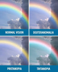Filtering van goghs works to simulate color blindness unlocks strikingly different images, perhaps revealing something about the way the famous painter saw the world. Are You Colour Blind These Incredible Images Reveal How The World Looks With Four Different Colour Deficiencies