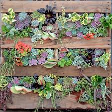 We did not find results for: Diy Succulent Wall Using Wood Pallet Mountain Crest Gardens