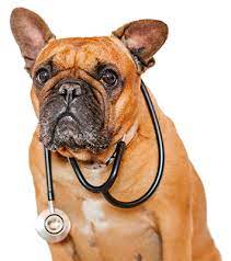 Fphc isn't doing anything that every other vet around does. Home Best Friends Vet Care