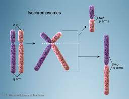 This condition is characterized by extremely weak muscle tone (hypotonia). Pallister Killian Mosaic Syndrome Medlineplus Genetics