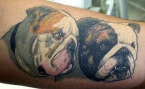 63 tattoos tagged 'bulldog' include hot pics view private pics →. Bulldog Tattoo Designs Meanings And Ideas Tatring