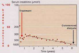 Chronic Renal Failure And Its Progression Ckd Edren Org