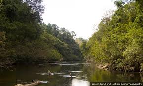 Malaysiakini Umk Study Shows Kuala Koh Rivers May Be Contaminated
