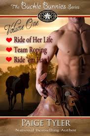Maybe you would like to learn more about one of these? The Buckle Bunnies Series Volume 1 Tyler Paige Amazon De Bucher