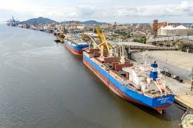 Paranaguá Port Sets Record with Largest Single Barley Cargo