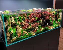 Very Amazing Diorama Tank Style With Rich Color Rich Color Layout Inspiration Color