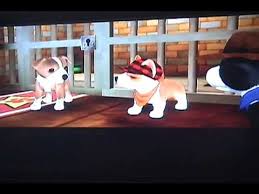 · have up to three pets on the screen at the same and watch them interact and play together. Petz Dogz Pack Walkthrough Part 1 By Sophiethestar01