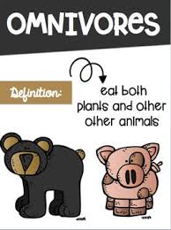 Types Of Consumers Carnivore Herbivore Omnivore Posters Omnivore Herbivore Carnivores Herbivores Omnivores