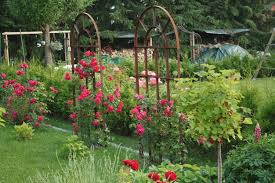 Orangeriefenster Als Rankhilfe Stallfenster Fenster Und Turen Scheune Fenster