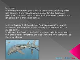 The venous side of the heart is preceded by an enlarged chamber called the sinus venosus. Fish Are Gill Bearing Aquatic Craniate Animals That Lack Limbs With Digits Prezentaciya Onlajn