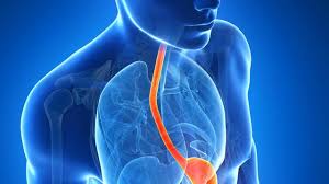 Simptomul de durere în piept poate avea diverse cauze de la lezarea unui mușchi la infarct și necesită în mod obligatoriu un consult medical de urgență. Cauzele Durerilor In Piept Happymed Tv