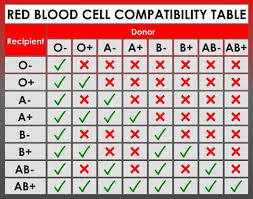 Blood Group Compatibility For Marriage Should You Compare