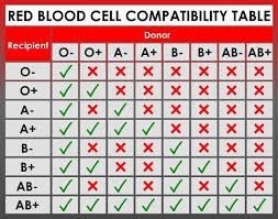 Most Compatible Blood Type