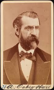 Power, corruption, and Tammany Hall: sketches of lesser known New York City  mayors, 1869-1913