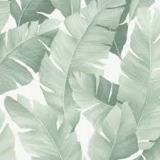 Papier Peint Vinyle Sur Intisse Motif Botanical Vert Et Blanc Leroy Merlin Papier Peint Vinyle Papier Peint Papier Peint Feuilles