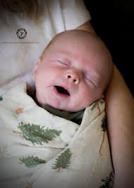 Profile for Only In Focus Photography LLC.