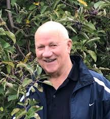 Contributions to the tribute of Ludovic Joseph Manuel