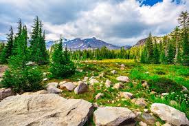 The Perfect 3-Day Weekend Road Trip Itinerary to Redding, Lassen, Volcanic  National Park, and Mt. Shasta