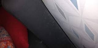 Oberflächlichen schimmel in begrenzten bereichen kannst du mit hausmitteln restlos entfernen. Schimmel Am Sofa Wohnung Wohnen Mobel