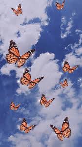 Three blue monarch butterflies on a white background stock. Autumn Aesthetic Butterfly Wallpapers Wallpaper Cave