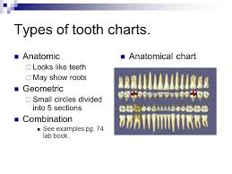 dental charting ppt video online download