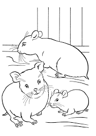 Some of the coloring page names are coloring image momjunction pets preschool cute, hamster coloring tags dwarf unikitty, dessins en couleurs imprimer hamster numro 21071, a hamster on its limps in guinea pig coloring color. Print Coloring Image Momjunction Coloring Pages Bear Coloring Pages Animal Coloring Pages