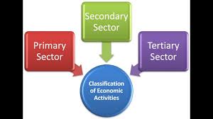 Sectors Of Economy Primary Secondary Tertiary Quaternary Quinary Youtube