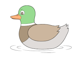 It's at this point, minus the underlying framework where you can decide what kind of duck it is your going to make it, and how you're going to color it. How To Draw A Duck Step By Step Easylinedrawing