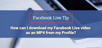 Click the icon to open the folder where the downloaded facebook live videos are stored. How To Download A Facebook Live Stream As An Mp4 File From Your Facebook Profile In