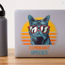 Funny Cat Dominant Species Light Transparent Sticker By Liveforever In 2021 Cats Funny Cats Species