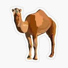 High quality sheet music for spirit of the water by camel to download in pdf and print. Camel Stickers Redbubble