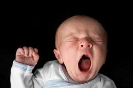 Image result for Yawning