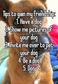 Tips To Gain My Friendship 1 Have A Dog 2 Show Me Pictures Of Your Dog 3 Dogs Dog Quotes Funny Show Me Pictures
