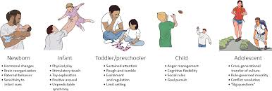 Father contribution to human resilience | Development and Psychopathology |  Cambridge Core
