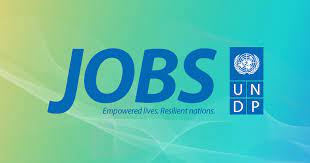 Those looking for chances to start a successful career can do it even while studying in the university, as the un offers several volunteer programs and internships for young people. Undp Jobs
