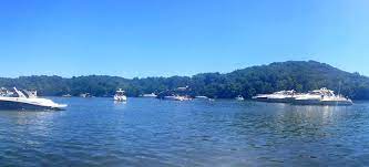 The weather during my visit was so cool and misty that it created a wonderfully mysterious atmosphere. Party Cove Archives Food Adventures With Amy