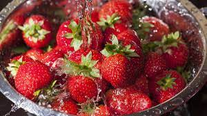 Strawberries retain moisture so if they are not fully dry they will go bad easily. Why You Shouldn T Worry About Eating The Bugs That Live On Your Strawberries Cnn
