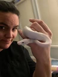 Introduction to Nidhogg's cute water monitor friend Moggs