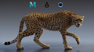 Pin By Cgtrader On Animals African Animals Animals Cheetah