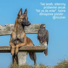 Tek Tarafli Kitlenmis Problemler Ancak Biz Ya Da Onlar Haline Donusunce Cozulur Mcuban Futurist Gelecekci Futuristufuksozu Malinois Hayvanlar Hayvan