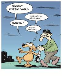 Dikkat Sarhos Kopek Var Mizah Komik Seyler Komik