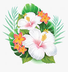 Flaticon, the largest database of free vector icons. Hibiscus Leaves Pattern Png Transparent Png Transparent Png Image Pngitem