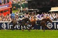 Free past performances for races with hronis racing entries. Australia Horse