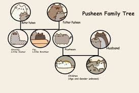 All My Life Thinking That Pusheen Was A Boy Pusheen Pusheen Cat Pusheen Cute