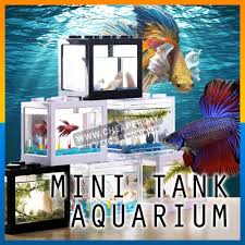 The idea is to build the frames first and then to install the cross wooden length that will hold the frame in positions building a solid aquarium stand! Fighting Fish Mini Aquarium Fighting Cylinder Led Building Block Fish Tank Spider Fish Sea Ikan Breeding