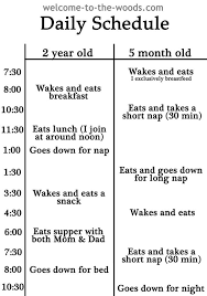 Toddler And Baby Schedule Mash Up Baby Schedule Baby Routine Toddler Schedule