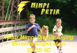 Biasanya, masalah ini mengacu pada sesuatu yang tidak baik dan ingin anda sembunyikan dari seseorang. Tafsir Mimpi Dikejar Anjing Togel Menurut Pakar Mimpi Di 2021 Anjing Mimpi Binatang